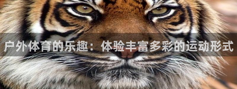 vsport体育在线官网：户外体育的乐趣：体验丰富多彩的运动形式