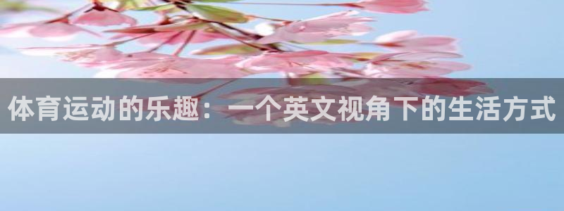 vsport体育：体育运动的乐趣：一个英文视角下的生活方式