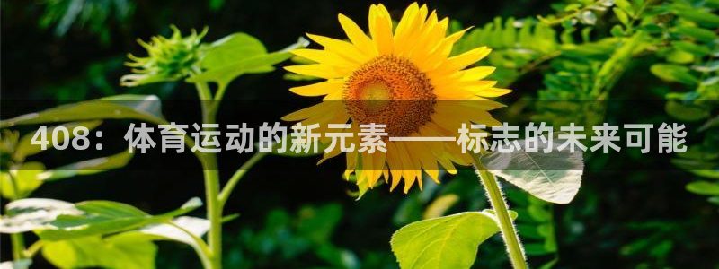 vsport体育：408：体育运动的新元素——标志的未来可能
