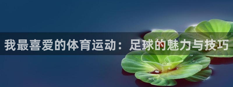 vsport体育：我最喜爱的体育运动：足球的魅力与技巧
