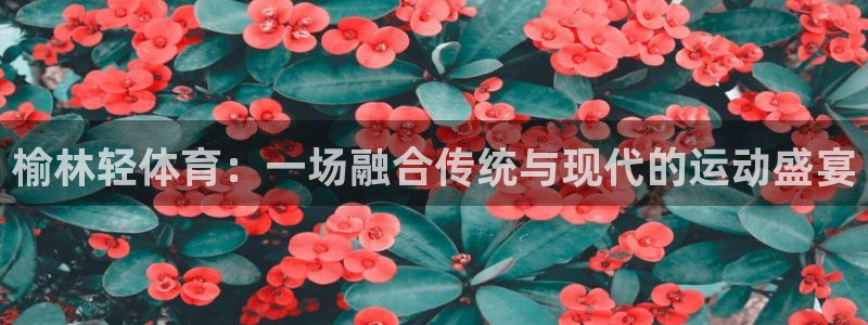 vsport体育在线官网