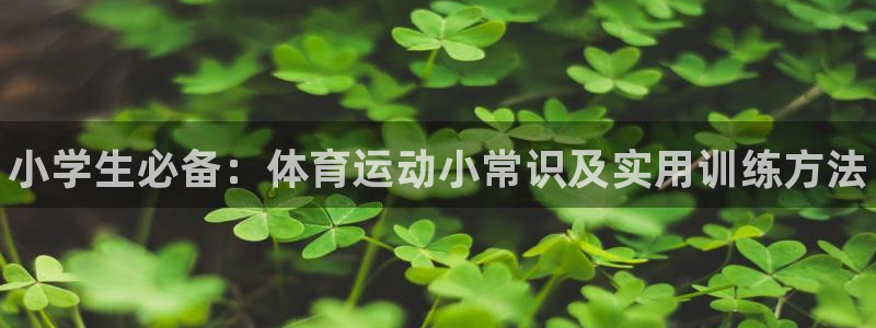 vsport体育：小学生必备：体育运动小常识及实用训练方法