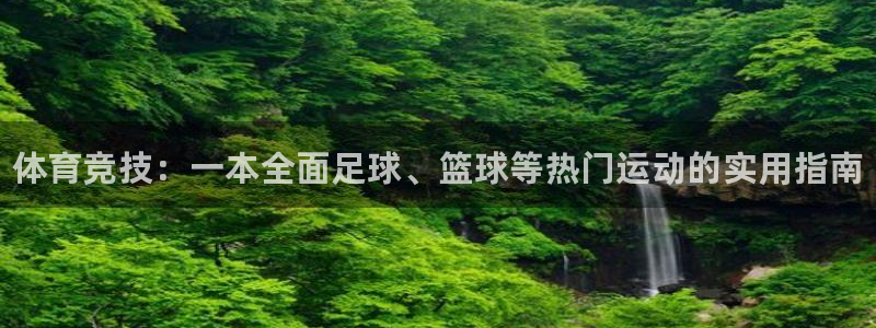 vsport体育：体育竞技：一本全面足球、篮球等热门运动的实用指南