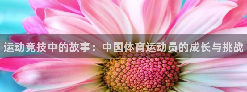 vsport体育：运动竞技中的故事：中国体育运动员的成长与挑战