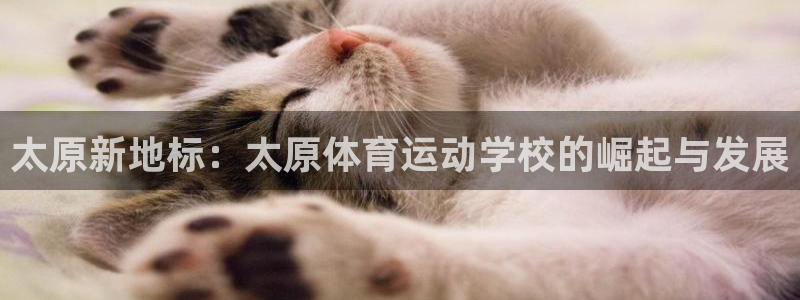 vsport体育在线官网：太原新地标：太原体育运动学校的崛起与发展
