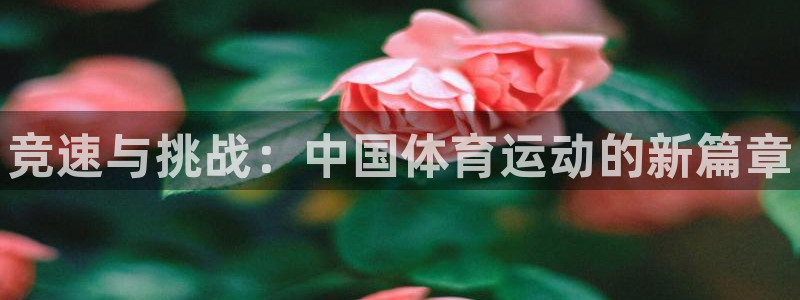 vsport体育在线官网：竞速与挑战：中国体育运动的新篇章