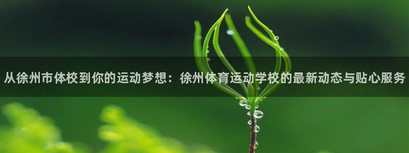 vsport体育：从徐州市体校到你的运动梦想：徐州体育运动学校的最新动态与贴心服务