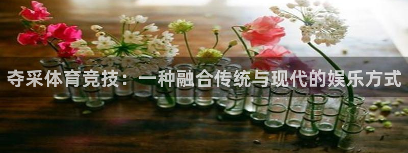 vsport体育：夺采体育竞技：一种融合传统与现代的娱乐方式