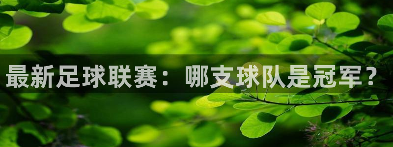 vsport体育在线官网：最新足球联赛：哪支球队是冠军？
