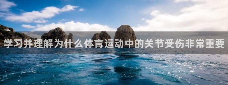 vsport体育在线官网：学习并理解为什么体育运动中的关节受伤非常重要