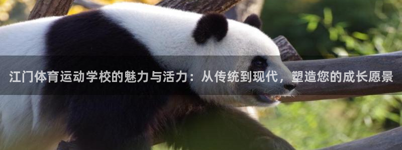 vsport体育在线官网：江门体育运动学校的魅力与活力：从传统到现代，塑造您的成长愿景