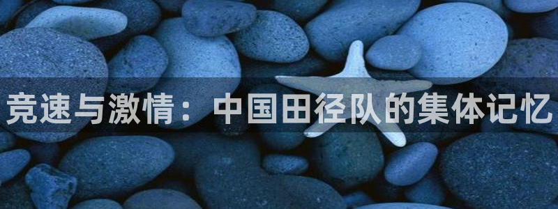 vsport体育在线官网：竞速与激情：中国田径队的集体记忆