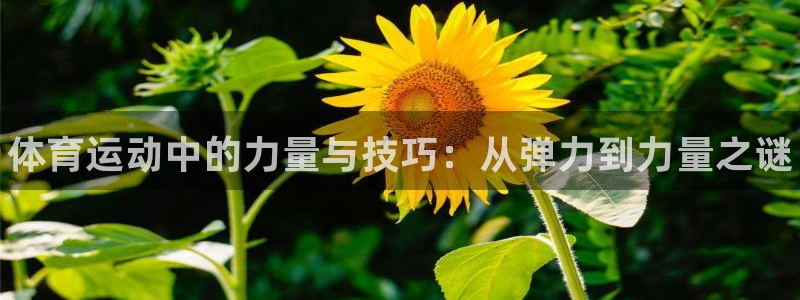 vsport体育：体育运动中的力量与技巧：从弹力到力量之谜