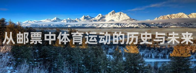 vsport体育在线官网：从邮票中体育运动的历史与未来