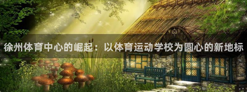 vsport体育：徐州体育中心的崛起：以体育运动学校为圆心的新地标