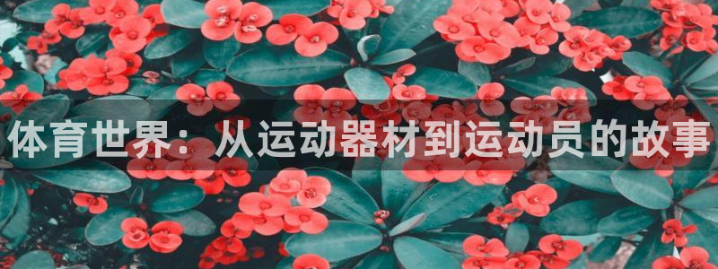 vsport体育：体育世界：从运动器材到运动员的故事