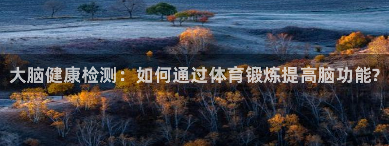 vsport体育：大脑健康检测：如何通过体育锻炼提高脑功能?
