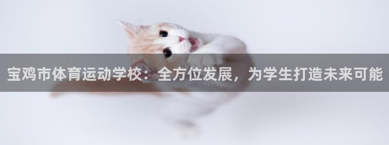 vsport体育