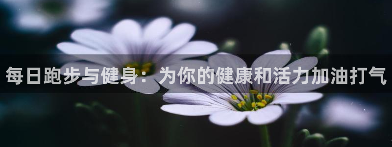 vsport体育：每日跑步与健身：为你的健康和活力加油打气