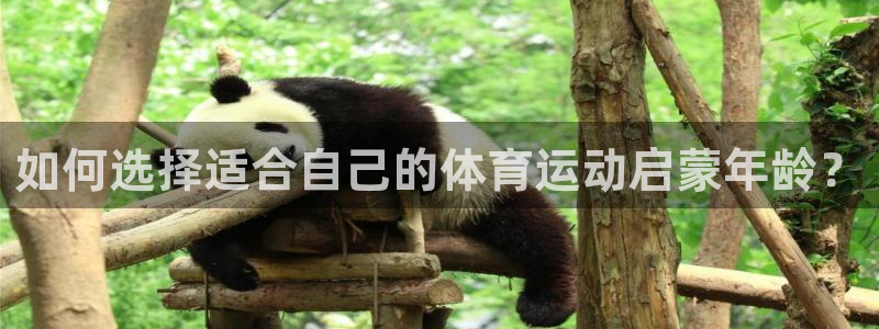vsport体育：如何选择适合自己的体育运动启蒙年龄？