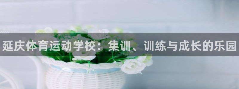 vsport体育在线官网：延庆体育运动学校：集训、训练与成长的乐园