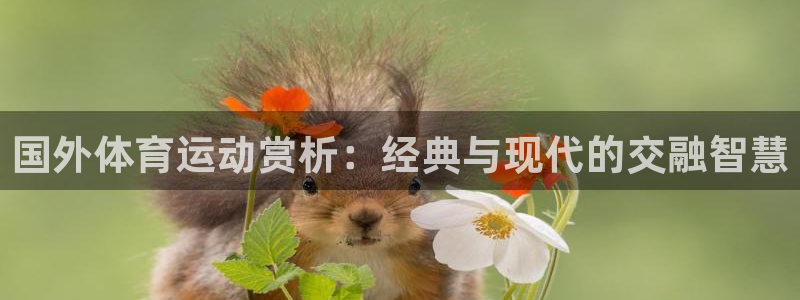 vsport体育在线官网：国外体育运动赏析：经典与现代的交融智慧