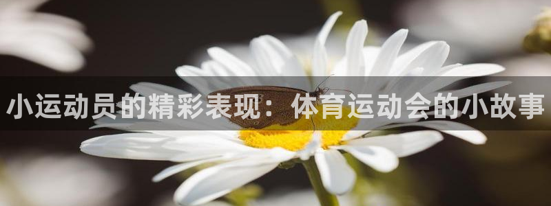 vsport体育在线官网