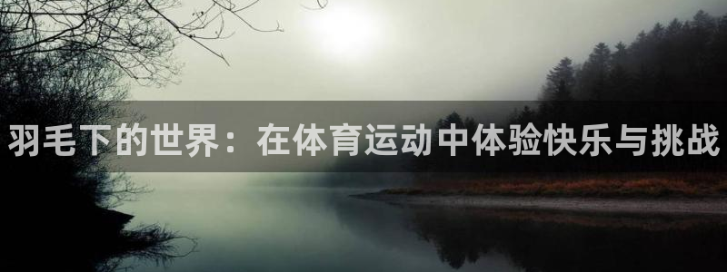vsport体育：羽毛下的世界：在体育运动中体验快乐与挑战
