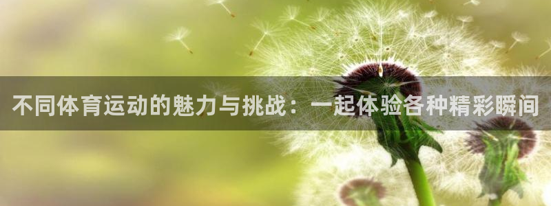 vsport体育：不同体育运动的魅力与挑战：一起体验各种精彩瞬间