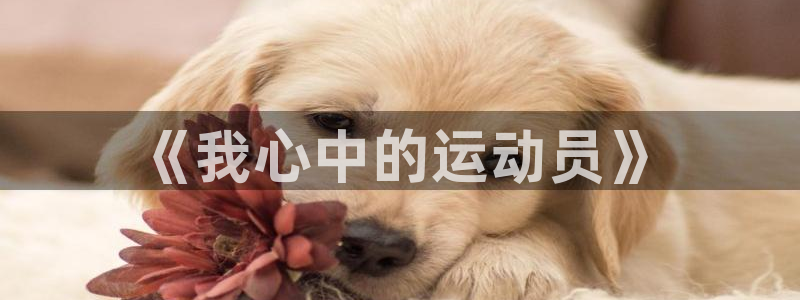 vsport体育在线官网：《我心中的运动员》