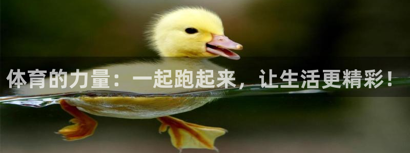 vsport体育在线官网：体育的力量：一起跑起来，让生活更精彩！