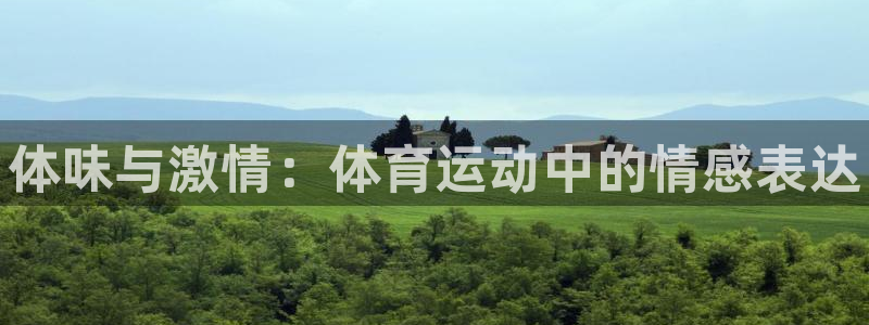 vsport体育在线官网：体味与激情：体育运动中的情感表达