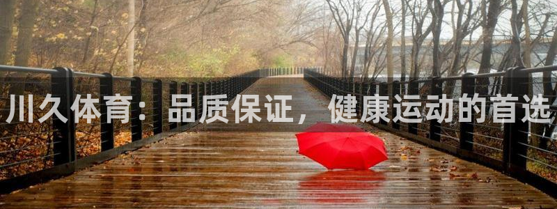 vsport体育在线官网：川久体育：品质保证，健康运动的首选