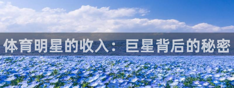 vsport体育在线官网：体育明星的收入：巨星背后的秘密