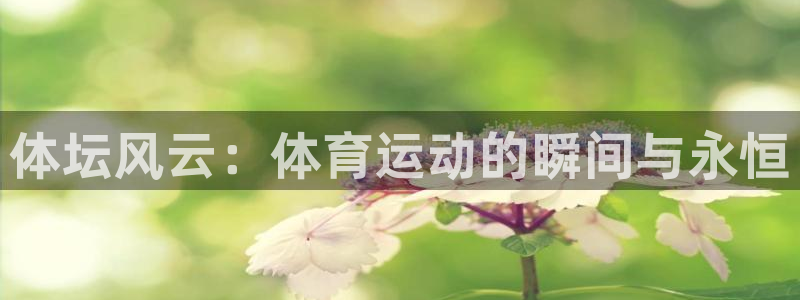 vsport体育在线官网：体坛风云：体育运动的瞬间与永恒