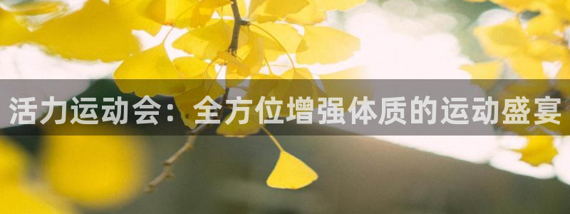 vsport体育：活力运动会：全方位增强体质的运动盛宴