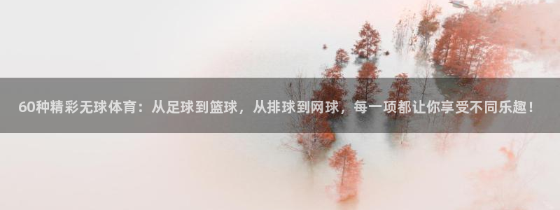 vsport体育：60种精彩无球体育：从足球到篮球，从排球到网球，每一项都让你享受不同乐趣！