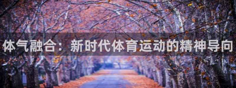 vsport体育：体气融合：新时代体育运动的精神导向