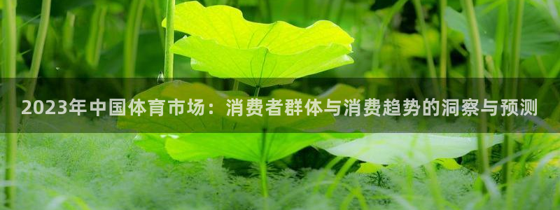 vsport体育：2023年中国体育市场：消费者群体与消费趋势的洞察与预测